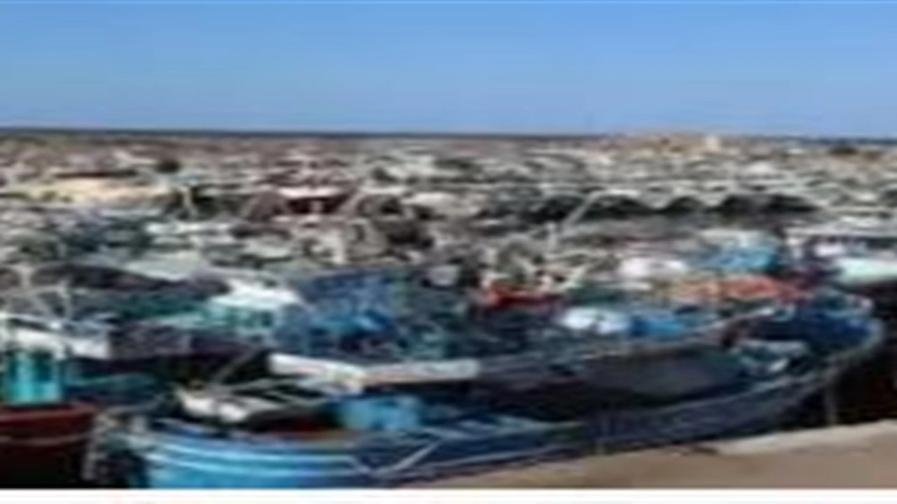 توقف حركة الملاحة والصيد في ميناء البرلس وسواحل كفر الشيخ لسوء الأحوال